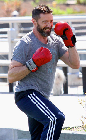 HUGH JACKMAN HUGH JACKMAN